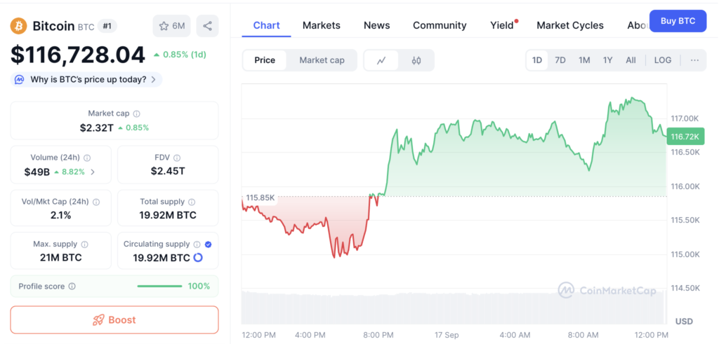 نمودار قیمت و اطلاعات بازار بیت کوین - منبع: CoinMarketCap